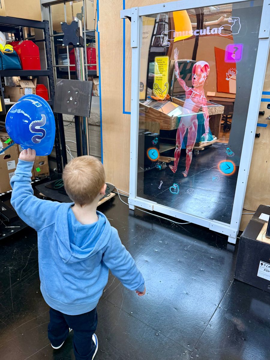 Testing the human bodies mirror