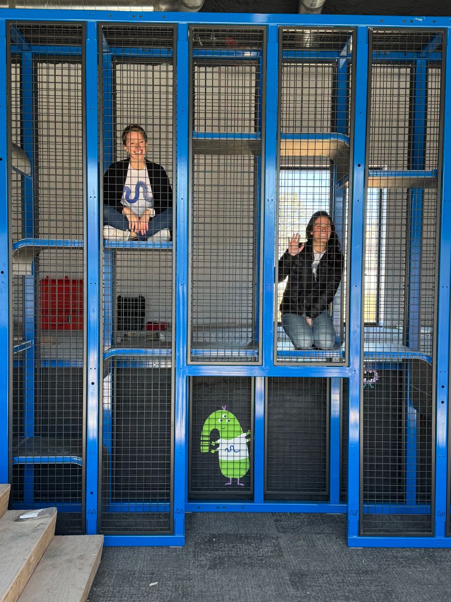 Climbing Structure